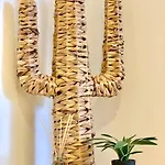 Palm Trees - Americas