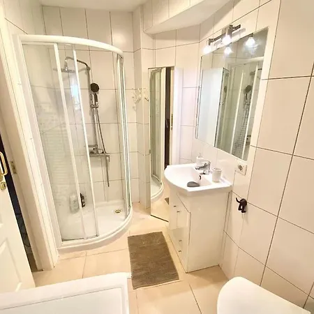 Palm Trees - Americas