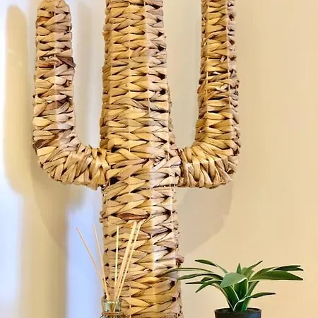 Palm Trees - Americas