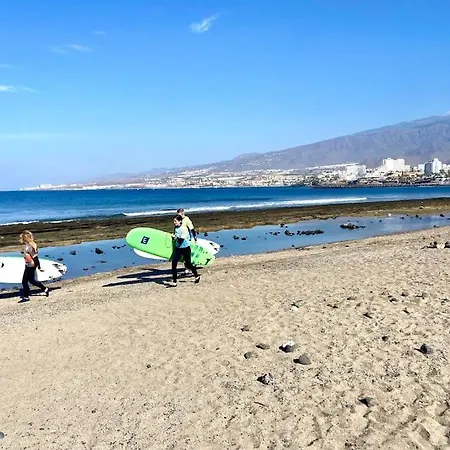 Palm Trees - Américas Arona (Tenerife)