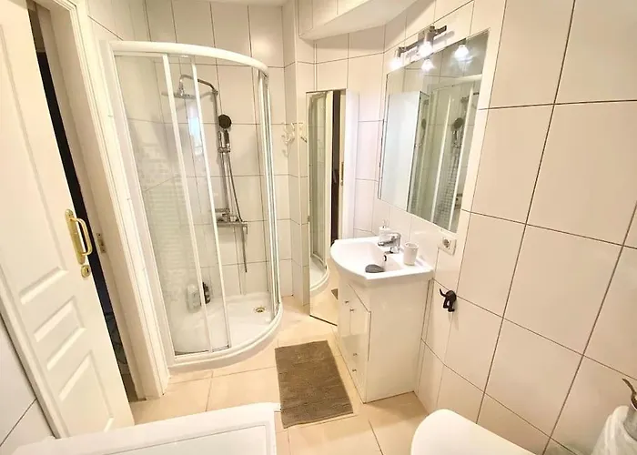 Palm Trees - Américas