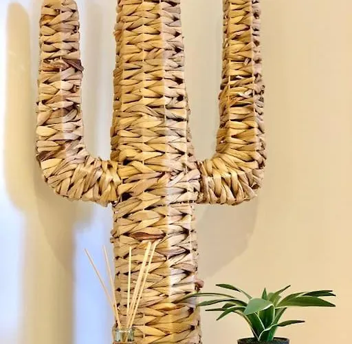 Palm Trees - Américas