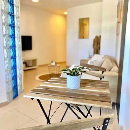 Palm Trees - Americas