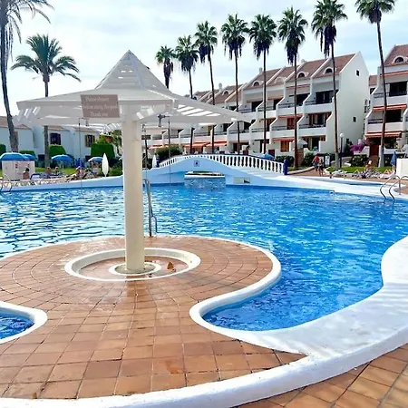 Palm Trees - Americas