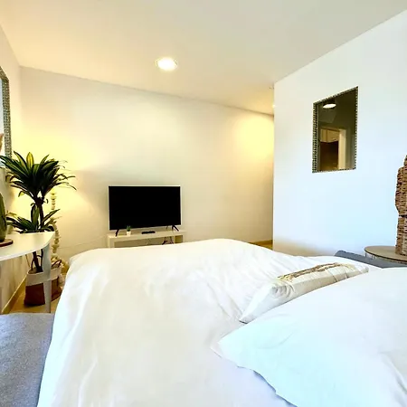 Palm Trees - Americas Apartamento