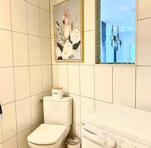 Palm Trees - Américas