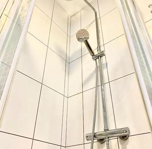 Palm Trees - Américas Arona (Tenerife)