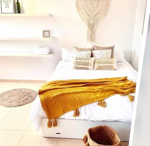 Palm Trees - Américas