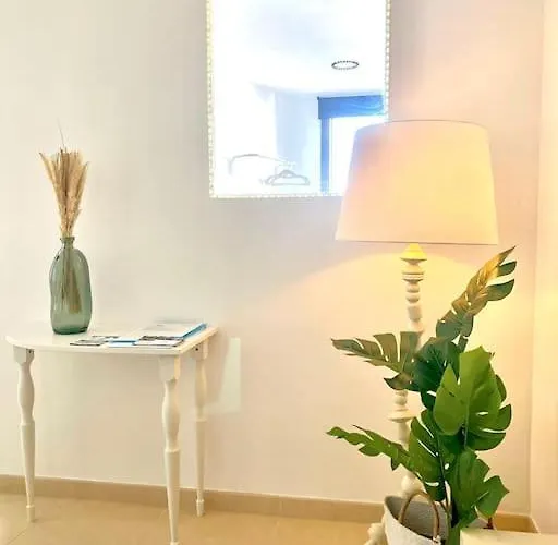 Palm Trees - Americas