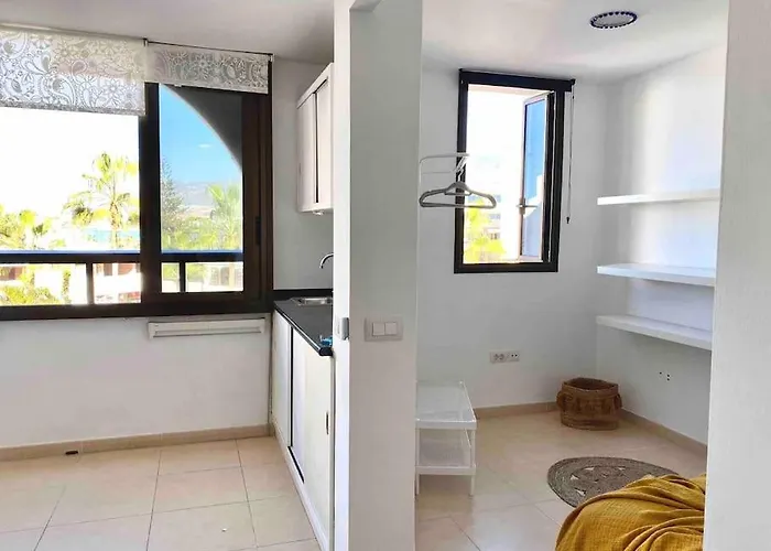 Palm Trees - Americas