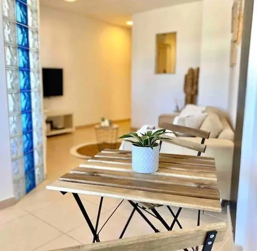 Palm Trees - Americas