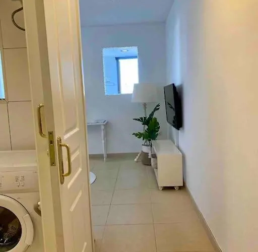 Apartamento Palm Trees - Americas