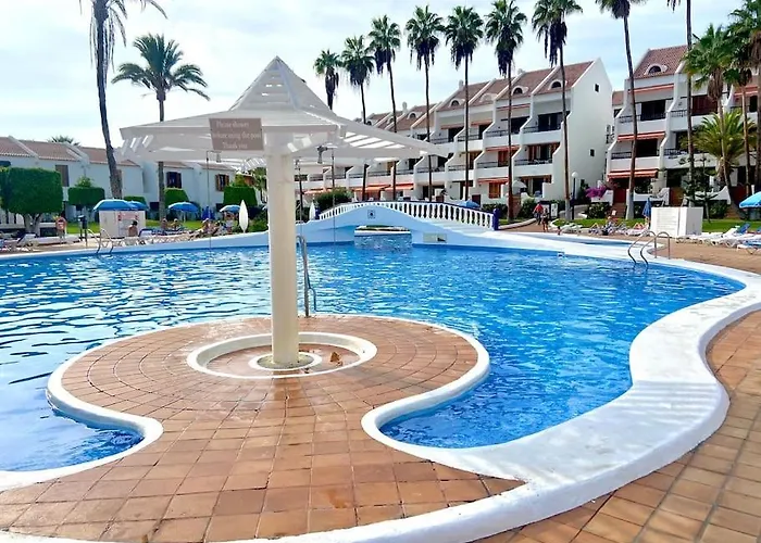 Palm Trees - Americas