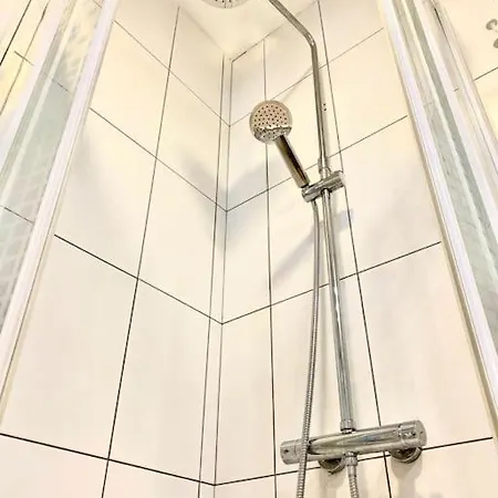 Palm Trees - Americas アロナ