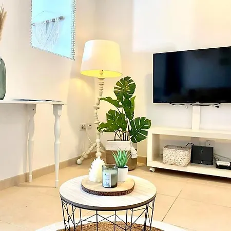 Palm Trees - Americas アロナ