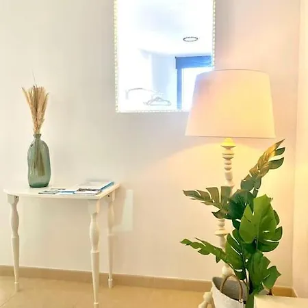 Palm Trees - Americas