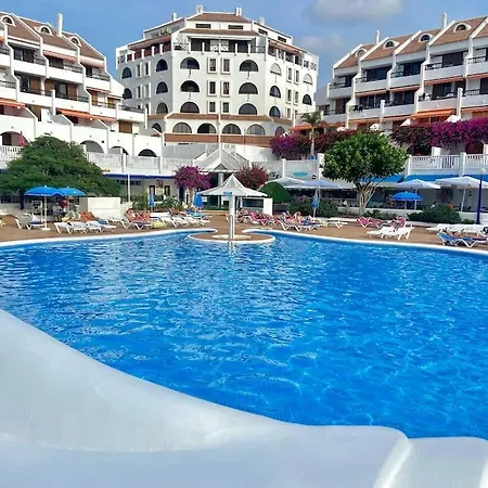 Palm Trees - Americas アロナ